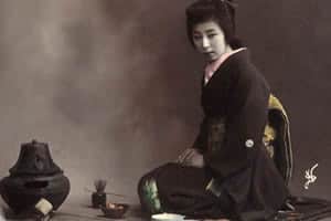 japon-cay-seranomisi-1-300x200-1